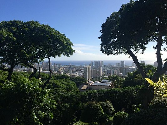 th IMG 9901 th IMG 9901