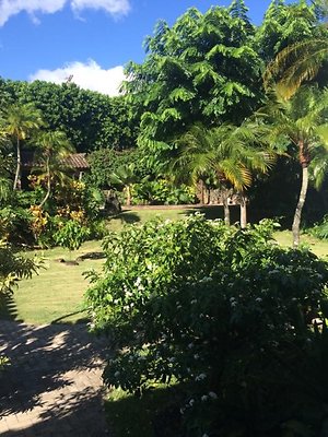 th IMG 9934 th IMG 9934