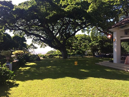 th IMG 9892 th IMG 9892