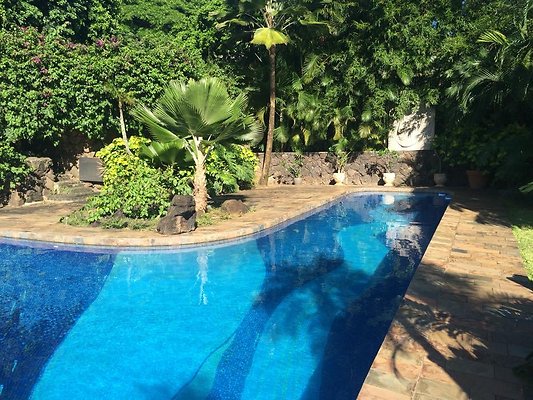 th IMG 9938 th IMG 9938