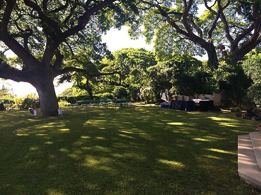 th IMG 9900 th IMG 9900