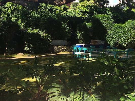 th IMG 9907 th IMG 9907