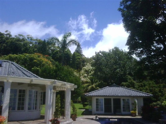 IMG00312-20090815-1211 IMG00312-20090815-1211