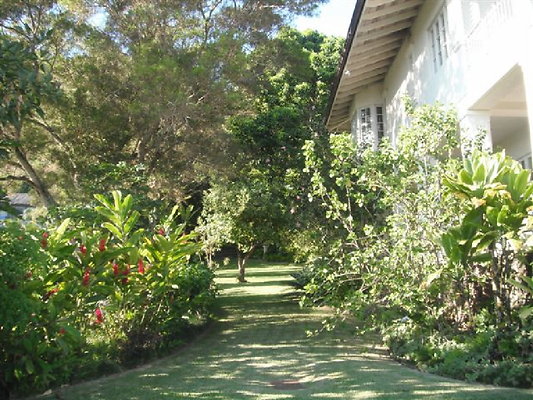 Tantalus Yuki 033 Tantalus Yuki 033