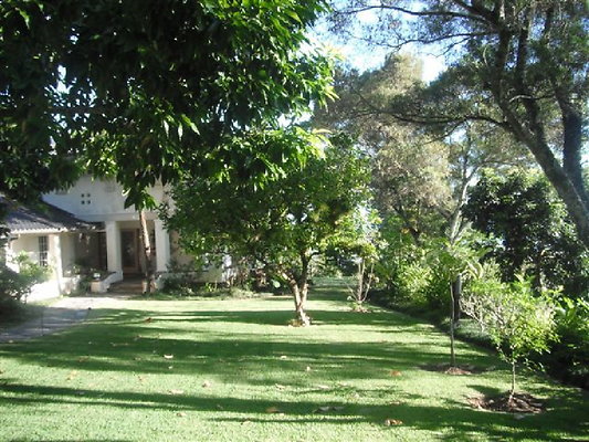 Tantalus Yuki 011 Tantalus Yuki 011