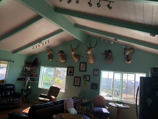 th IMG 5617 heic th IMG 5617 heic