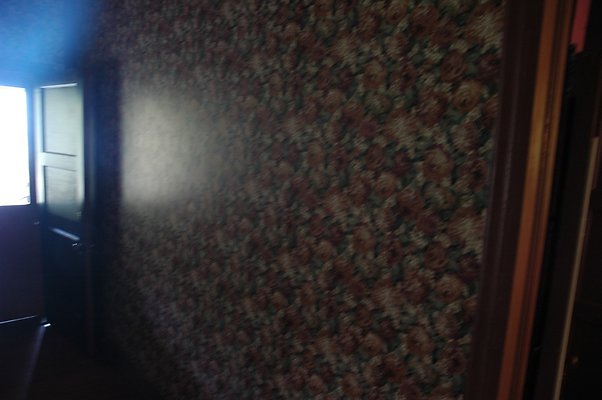 HI50 S5 DSC 8444 HI50 S5 DSC 8444