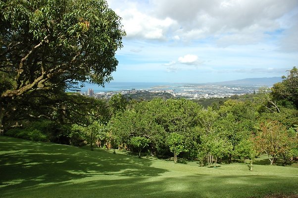 HI50 S5 DSC 8448 HI50 S5 DSC 8448