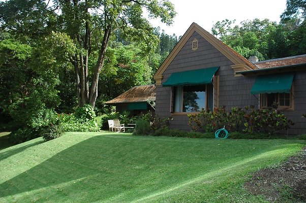 HI50 S5 DSC 8398 HI50 S5 DSC 8398