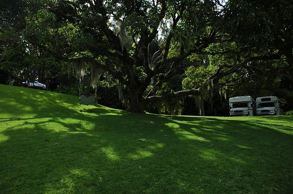 HI50 S5 DSC 8395 HI50 S5 DSC 8395