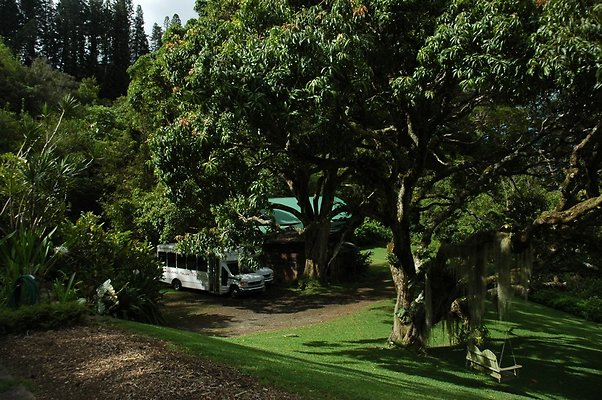 HI50 S5 DSC 8447 HI50 S5 DSC 8447