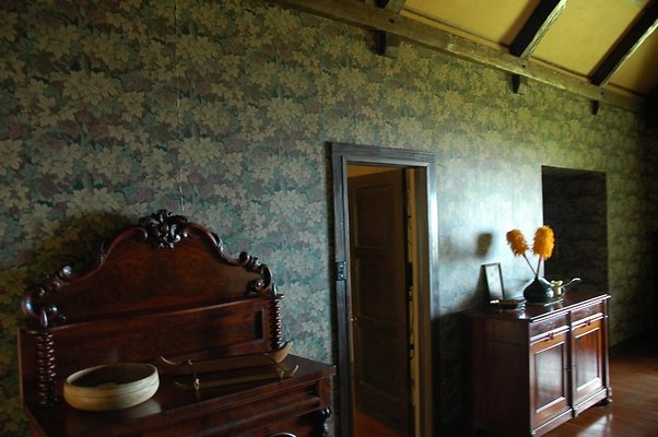 HI50 S5 DSC 8424 HI50 S5 DSC 8424