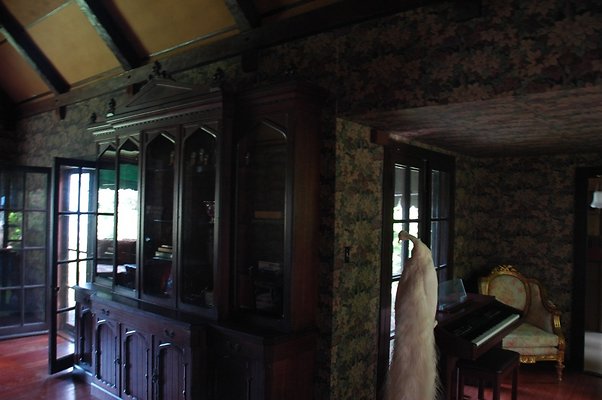 HI50 S5 DSC 8426 HI50 S5 DSC 8426