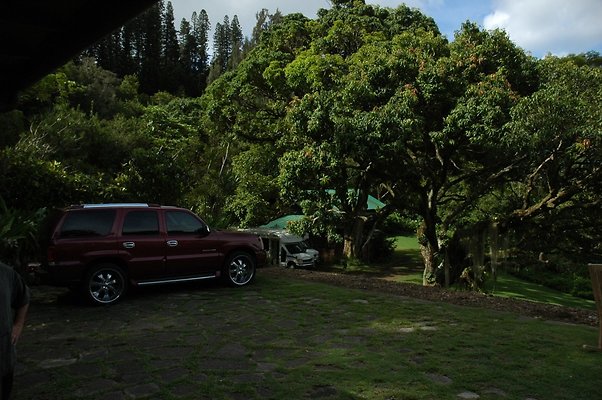 HI50 S5 DSC 8410 HI50 S5 DSC 8410