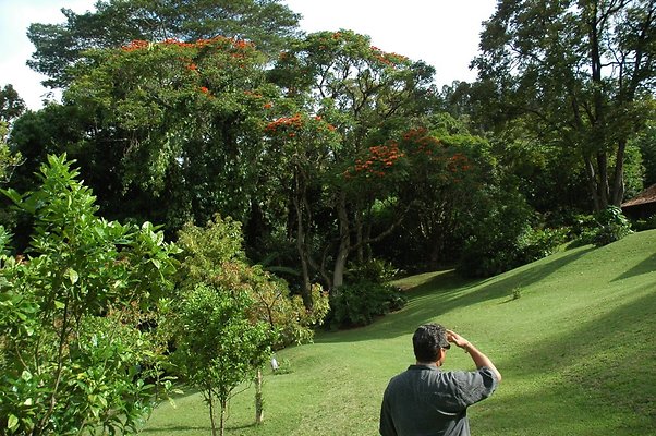 HI50 S5 DSC 8393 HI50 S5 DSC 8393