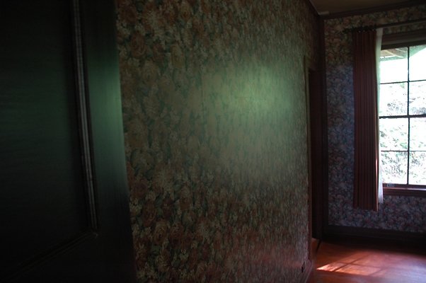 HI50 S5 DSC 8439 HI50 S5 DSC 8439