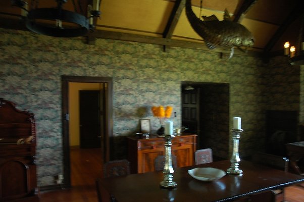 HI50 S5 DSC 8419 HI50 S5 DSC 8419