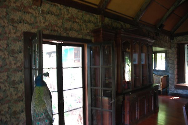 HI50 S5 DSC 8421 HI50 S5 DSC 8421