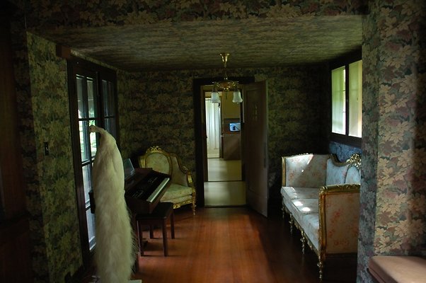 HI50 S5 DSC 8428 HI50 S5 DSC 8428