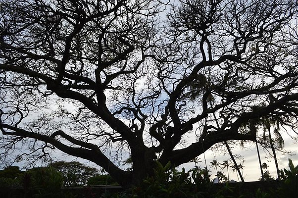 th DSC 0232 th DSC 0232