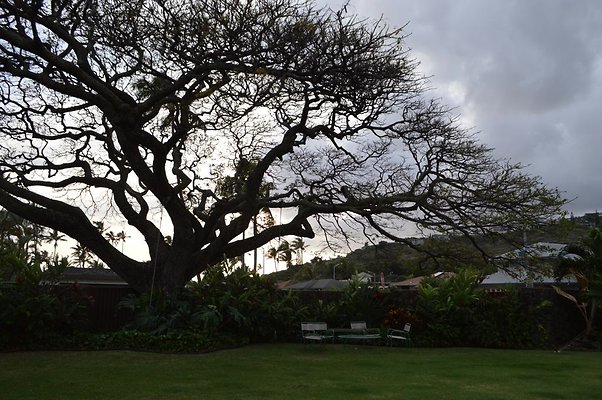 th DSC 0226 2 th DSC 0226 2