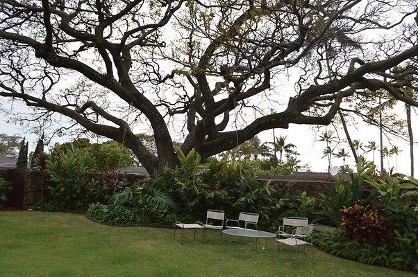 th DSC 0223 2 th DSC 0223 2