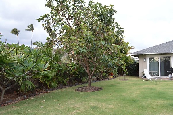 th DSC 0219 2 th DSC 0219 2