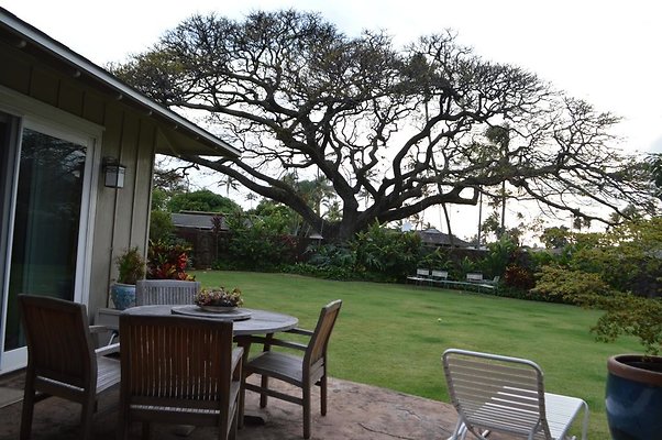 th DSC 0217 2 th DSC 0217 2