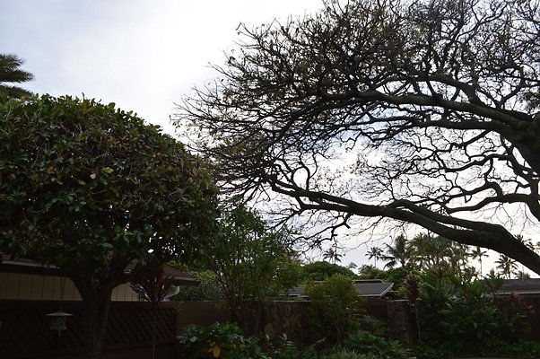 th DSC 0225 2 th DSC 0225 2