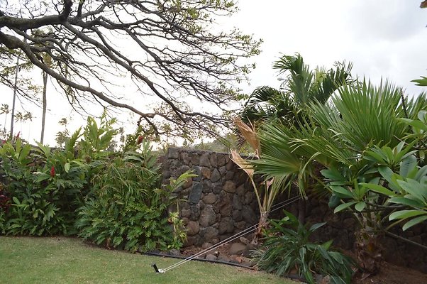 th DSC 0224 2 th DSC 0224 2