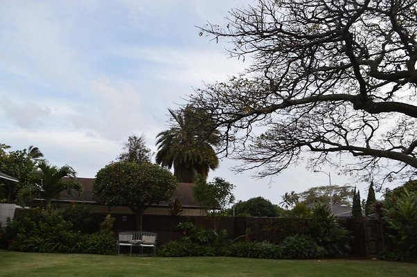 th DSC 0222 2 th DSC 0222 2