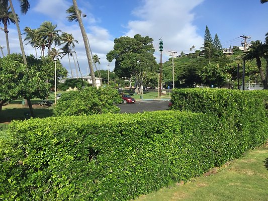 HI50 S6 2015-09-25 08.36.35 HI50 S6 2015-09-25 08.36.35