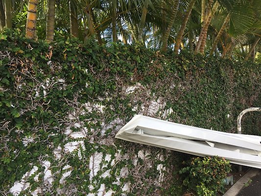 HI50 S6 2015-09-25 08.27.16 HI50 S6 2015-09-25 08.27.16