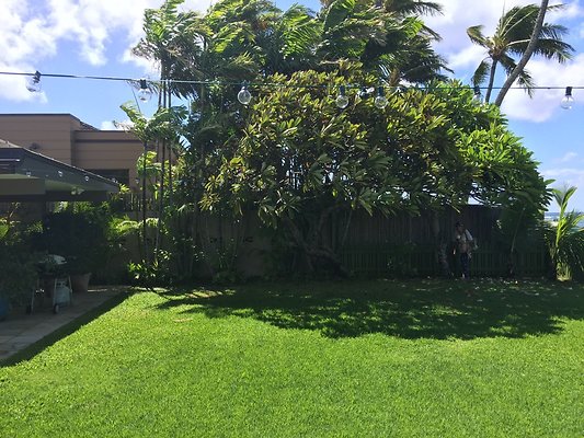 HI50 S6 2015-09-25 10.57.01 HI50 S6 2015-09-25 10.57.01