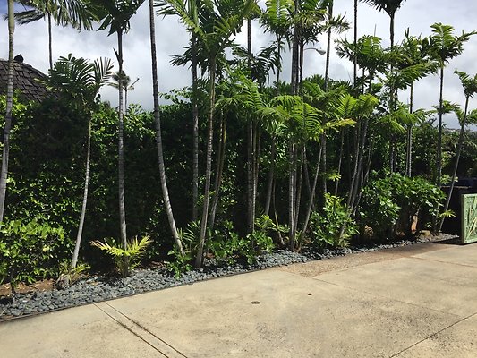 HI50 S6 2015-09-25 10.52.49 HI50 S6 2015-09-25 10.52.49