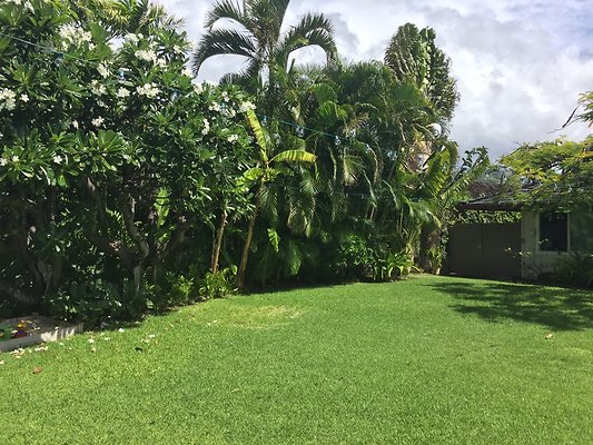 HI50 S6 2015-09-25 10.55.29 HI50 S6 2015-09-25 10.55.29