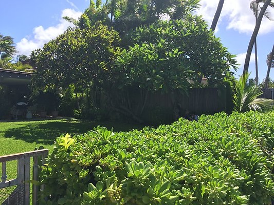 HI50 S6 2015-09-25 10.56.44 HI50 S6 2015-09-25 10.56.44