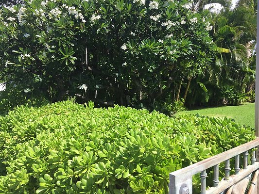 HI50 S6 2015-09-25 10.56.35 HI50 S6 2015-09-25 10.56.35