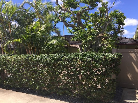 HI50 S6 2015-09-25 10.52.41 HI50 S6 2015-09-25 10.52.41