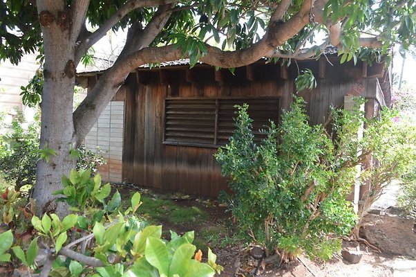 th DSC 0169 th DSC 0169