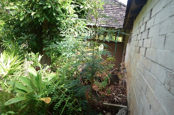 th DSC 0199 th DSC 0199