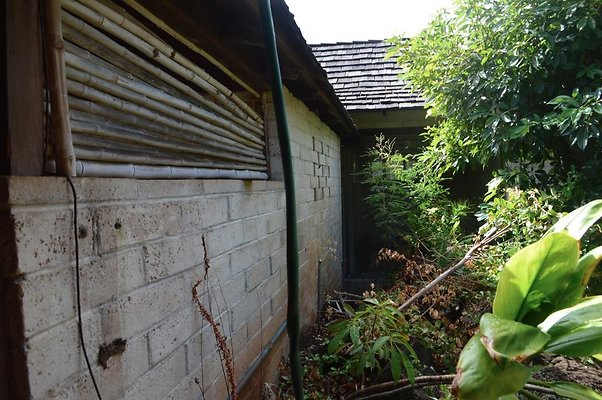 th DSC 0173 th DSC 0173