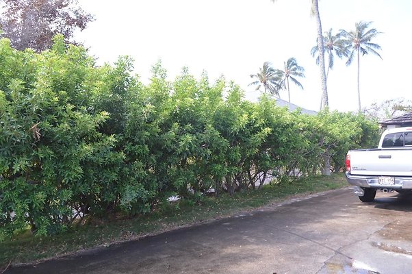 th DSC 0155 th DSC 0155