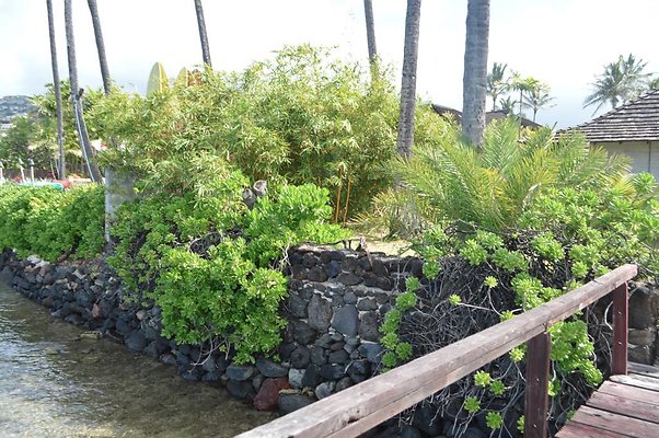 th DSC 0212 th DSC 0212