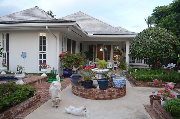 th DSC 0266 2 th DSC 0266 2