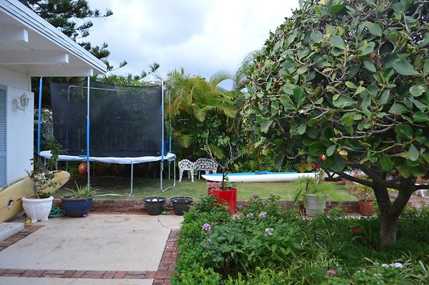 th DSC 0265 2 th DSC 0265 2