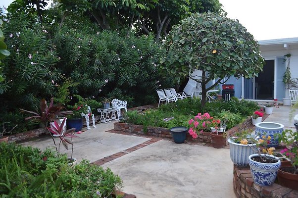 th DSC 0262 2 th DSC 0262 2