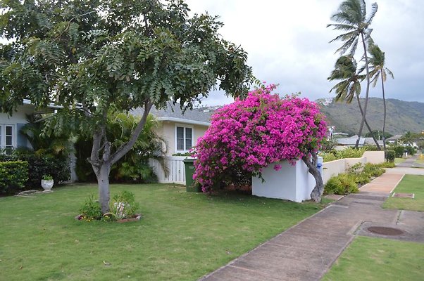 th DSC 0234 2 th DSC 0234 2