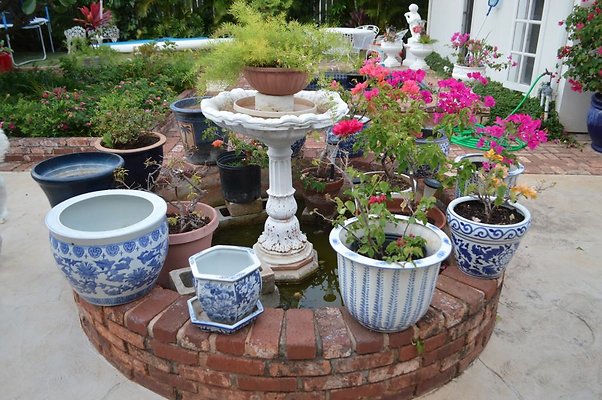 th DSC 0268 2 th DSC 0268 2