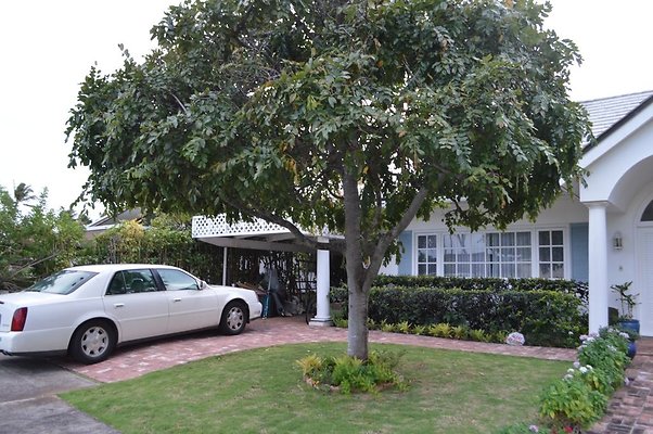 th DSC 0232 2 th DSC 0232 2